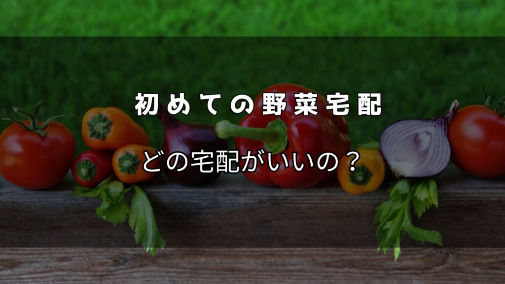 野菜宅配サービス　初めての宅配　比較表