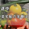 坂ノ途中　野菜宅配の金額は？アイキャッチ画像