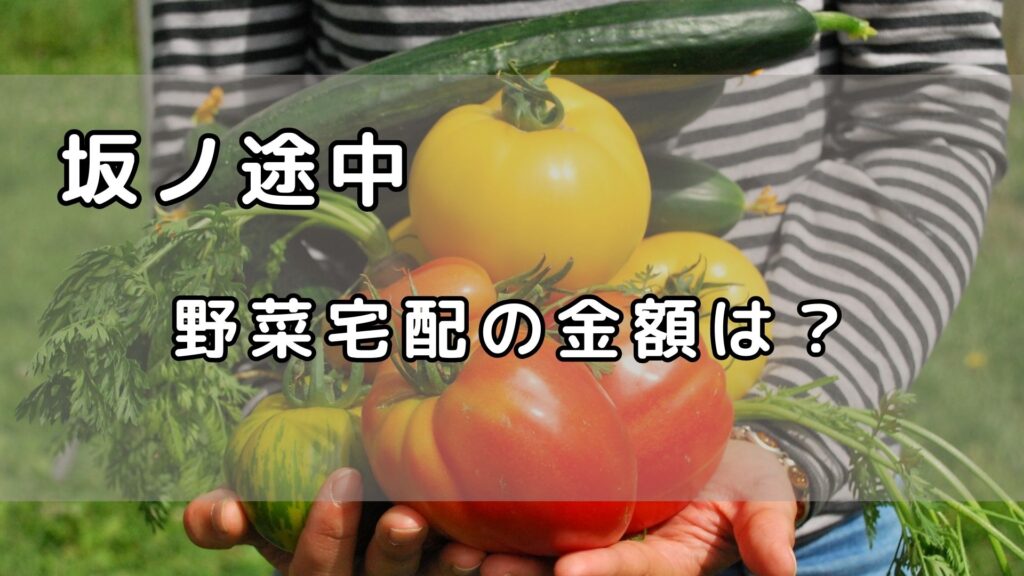 坂ノ途中　野菜宅配の金額は？アイキャッチ画像