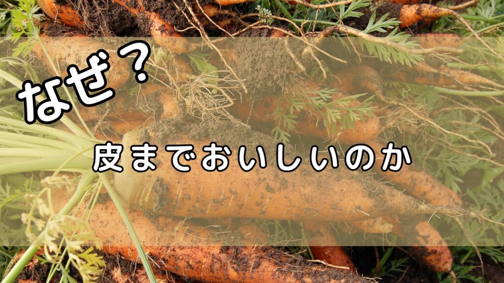 なぜ？皮までおいしいのか