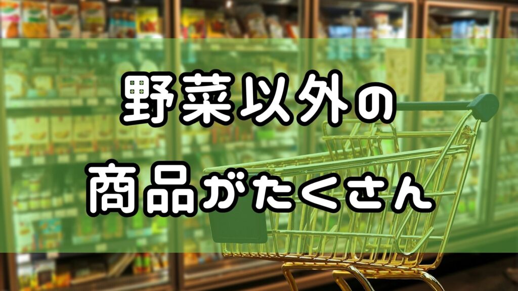 ビオ・マルシェお試しセット　野菜以外の商品　たくさん