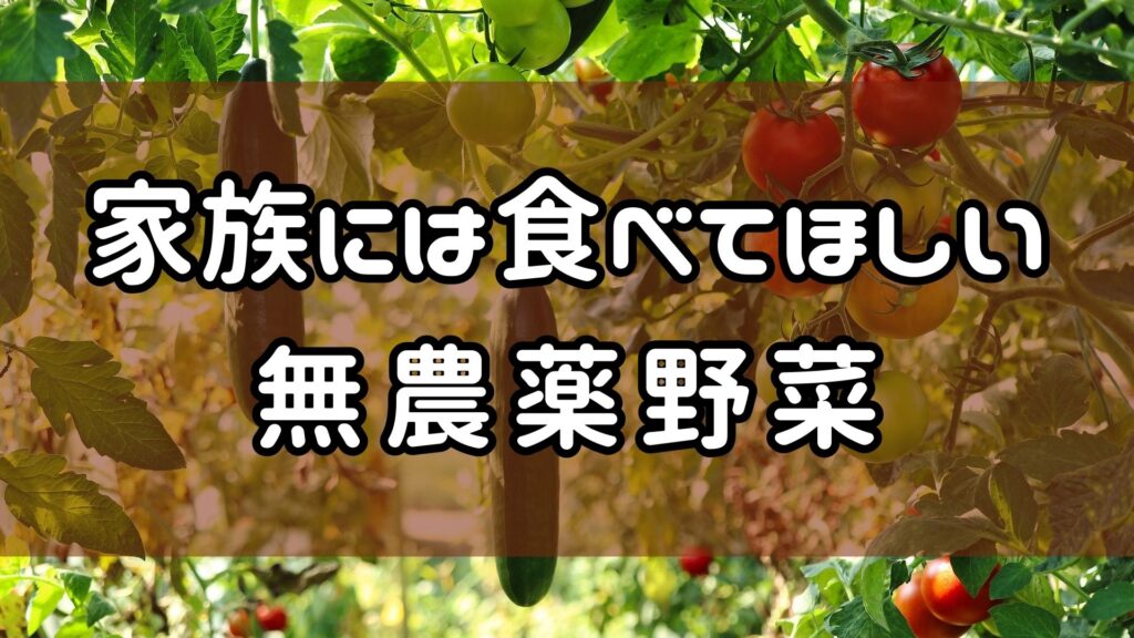 ココノミの野菜は無農薬