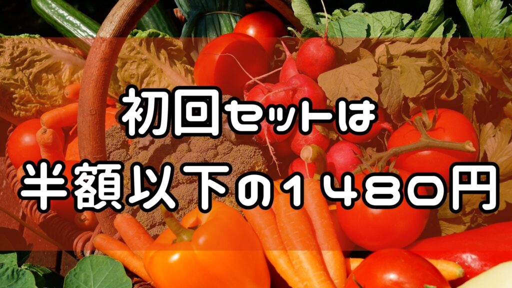 ココノミ　初回セット　半額以下１４８０円