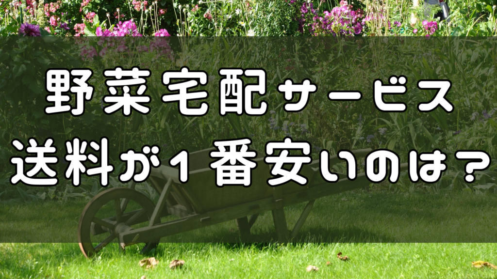 [送料無料]人気の野菜宅配、送料比較表でわかりやすく紹介！　アイキャッチ画像